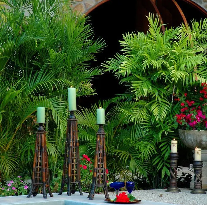 Almond Tree Hotel Resort-1