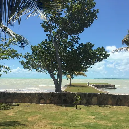 Almond Tree Hotel Resort-2